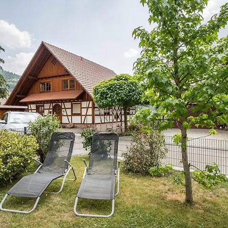 Апартаменты Hohfelsenblick Зеебах