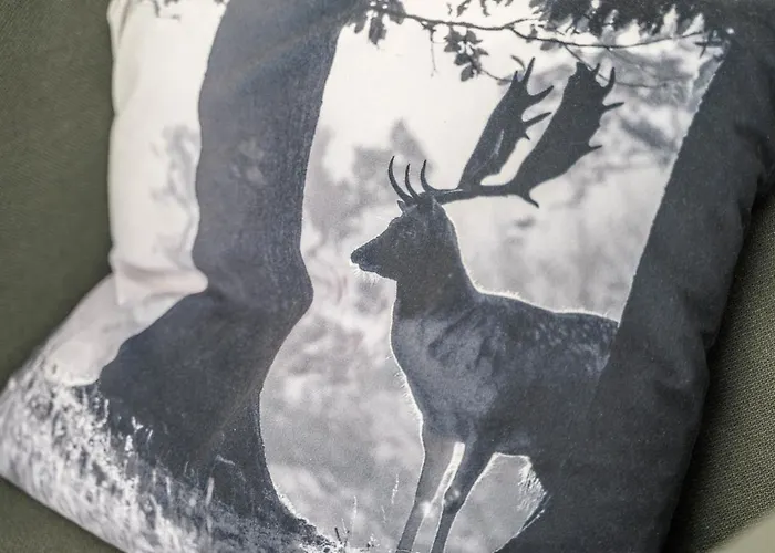 Hohfelsenblick Apartment Seebach